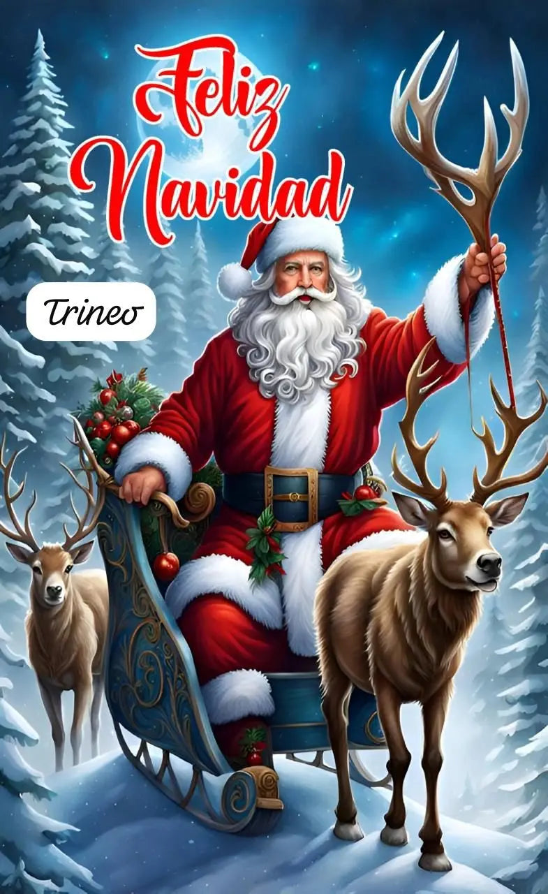 Fundas Navidenas Para Puertas Auge